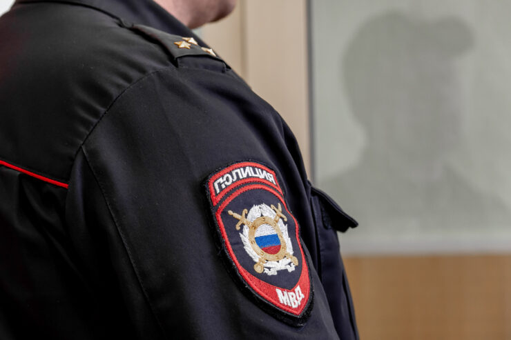 МВД: Московские полицейские помогли вернуть хозяйке потерявшуюся на МКАД собаку