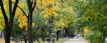 Москвичам посоветовали ботанический сад МГУ и усадьбу «Архангельское» для атмосферных прогулок золотой осенью