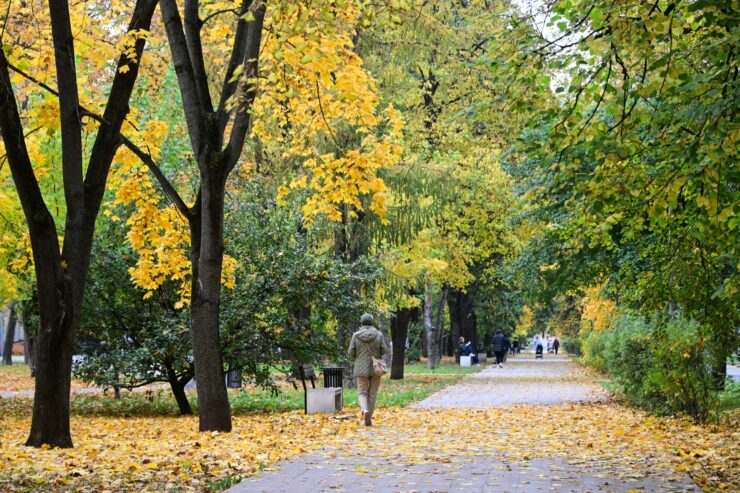 Москвичам посоветовали ботанический сад МГУ и усадьбу «Архангельское» для атмосферных прогулок золотой осенью