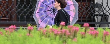 Синоптик Леус: Температура воздуха в Москве в среду будет ниже нормы