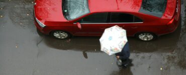 Тишковец: в Московском регионе дожди были в 40 раз интенсивнее нормы