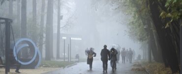 МЧС предупредило жителей Москвы о густом тумане