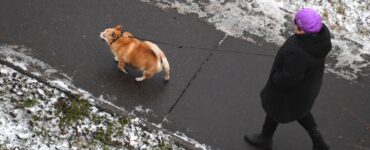 Тишковец: Заморозки придут в Москву после 20-х чисел октября