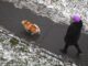 Тишковец: Заморозки придут в Москву после 20-х чисел октября