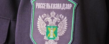 11 общепитов Егорьевска оштрафовали за продукцию без ветеринарных документов