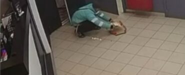 Москвичам доставили повалявшуюся на полу в подъезде пиццу