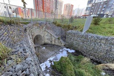 Прокуратура начала проверку после возможного загрязнения реки Десны в Москве