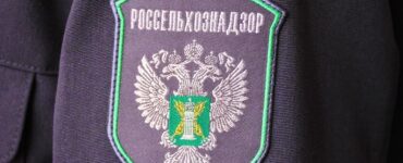 Россия ограничила импорт животноводческой продукции из Эфиопии из-за ящура и чумы