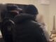 СК ходатайствует об аресте мужчины за убийство сожительницы и ее дочери в Москве