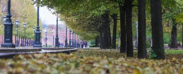 В Москве 4 октября ожидается переменная облачность и до 13 градусов тепла