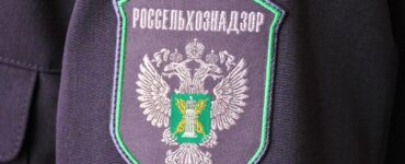В Подмосковье уничтожили партию кенийских роз из-за цветочного трипса