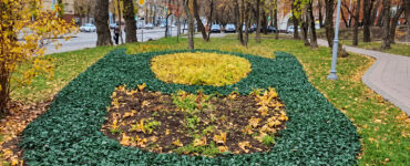 В районах северо-востока Москвы высаживают тюльпаны