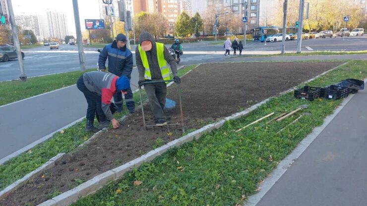 Высадка луковиц тюльпанов пройдет в Нижегородском
